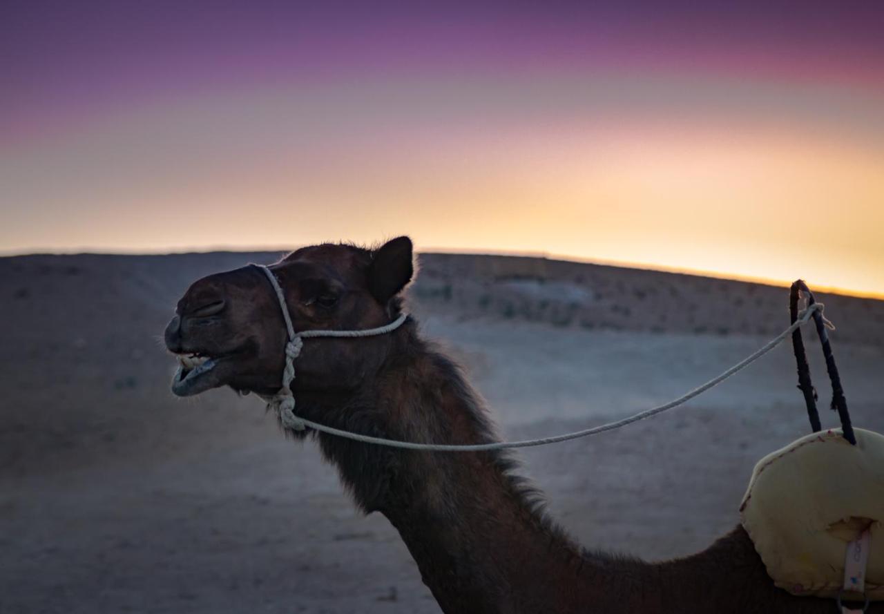 Camp Cameleon Hotell Marrakesh Eksteriør bilde