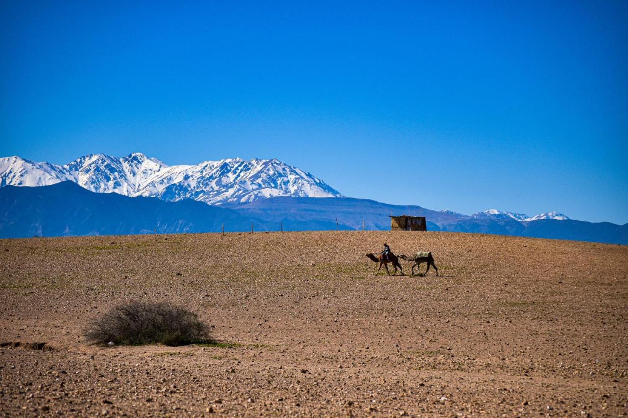 Camp Cameleon Hotell Marrakesh Eksteriør bilde